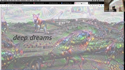 Thumbnail for entry DSPS 2021 Lecture 20 - Neural Networks  1 - history and deep dreams