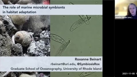 Thumbnail for entry SMSP Fall 2021 Colloquia Speaker Series - Dr. Roxanne Beinart