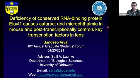 Thumbnail for entry Deficiency of the conserved RNA-binding protein Elavl1, involved in post-transcriptional gene expression control, causes microphthalmia and cataract, Sandeep Aryal (2b)