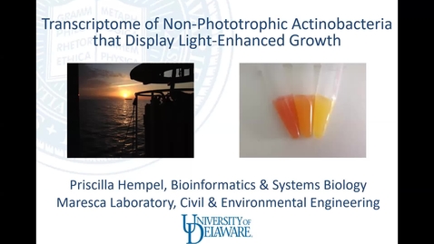 Thumbnail for entry Transcriptome of non-phototrophic Actinobacteria that display light-enhanced growth,  Priscilla Hempel