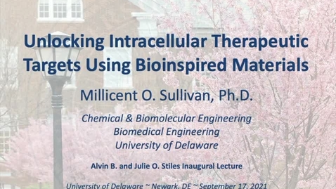 Thumbnail for Millie Sullivan 2021 Stiles Inaugural Lecture PowerPoint and Audio Only