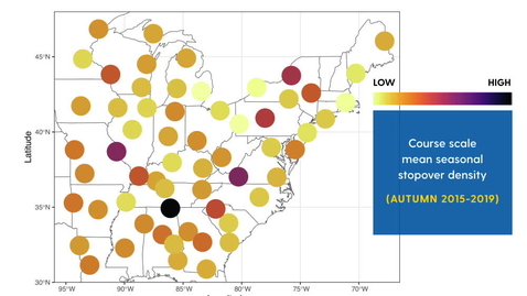 Thumbnail for Autumn stopover hotspots and multiscale habitat associations of migratory landbirds in the eastern United States
