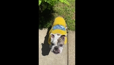 Go to We miss you, Blue Hen Ambassadors! with duration: 1 minute, 43 seconds