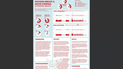 Thumbnail for entry Genetic basis and identification of candidate genes for wooden breast and white striping in commercial broiler chickens, Juniper Lake