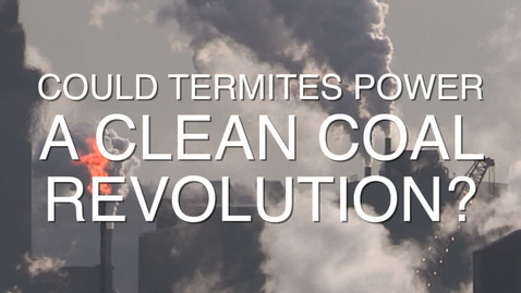 Thumbnail for Modeling energy production from coal-digesting termite microbes