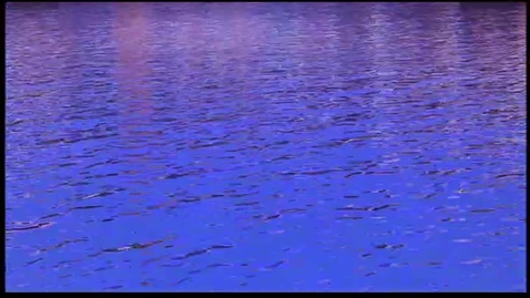 Thumbnail for Cidade de Deus (Kátia Lund, Fernando Meirelles, Brasil 2002, 2h 10m min)