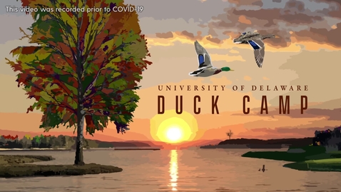 Thumbnail for entry Duck Camp