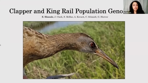 Thumbnail for entry Clapper and King Rail Population Genomics, Elisa Elizondo