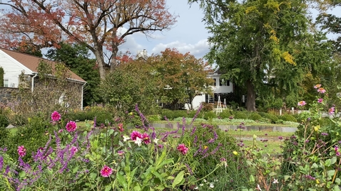 Thumbnail for Goodstay Gardens Internship
