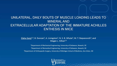 Thumbnail for entry Unilateral, daily bouts of muscle loading leads to mineral and extracellular adaptation of the immature Achilles enthesis in mice, Elahe Ganji