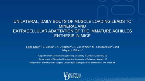 Thumbnail for Unilateral, daily bouts of muscle loading leads to mineral and extracellular adaptation of the immature Achilles enthesis in mice, Elahe Ganji