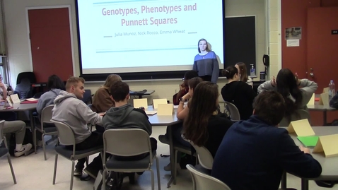 Thumbnail for 010 Bio Math Genotypes Phenotypes Punnet Squares Videocamera