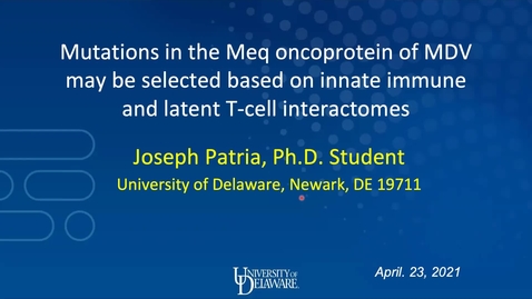 Thumbnail for entry 2B: Mutations in the Meq oncoprotein of MDV may be selected based on innate immune and latent T-cell interactomes, Joseph Patria