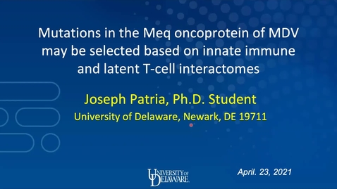 Thumbnail for 2B: Mutations in the Meq oncoprotein of MDV may be selected based on innate immune and latent T-cell interactomes, Joseph Patria