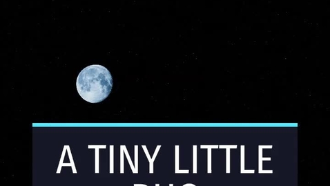 Thumbnail for A Tiny Little Bug