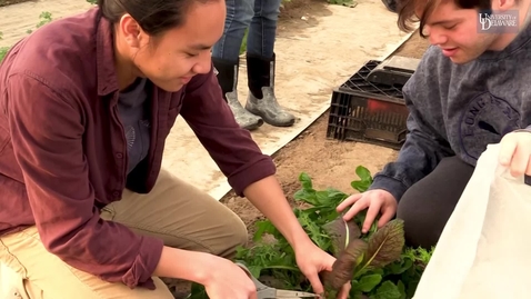 Thumbnail for entry Major in Sustainable Food Systems at the University of Delaware