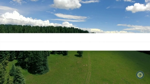 Thumbnail for Range of Motion: Assessment