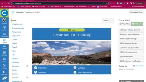 Thumbnail for UDOIT Training for Instructors