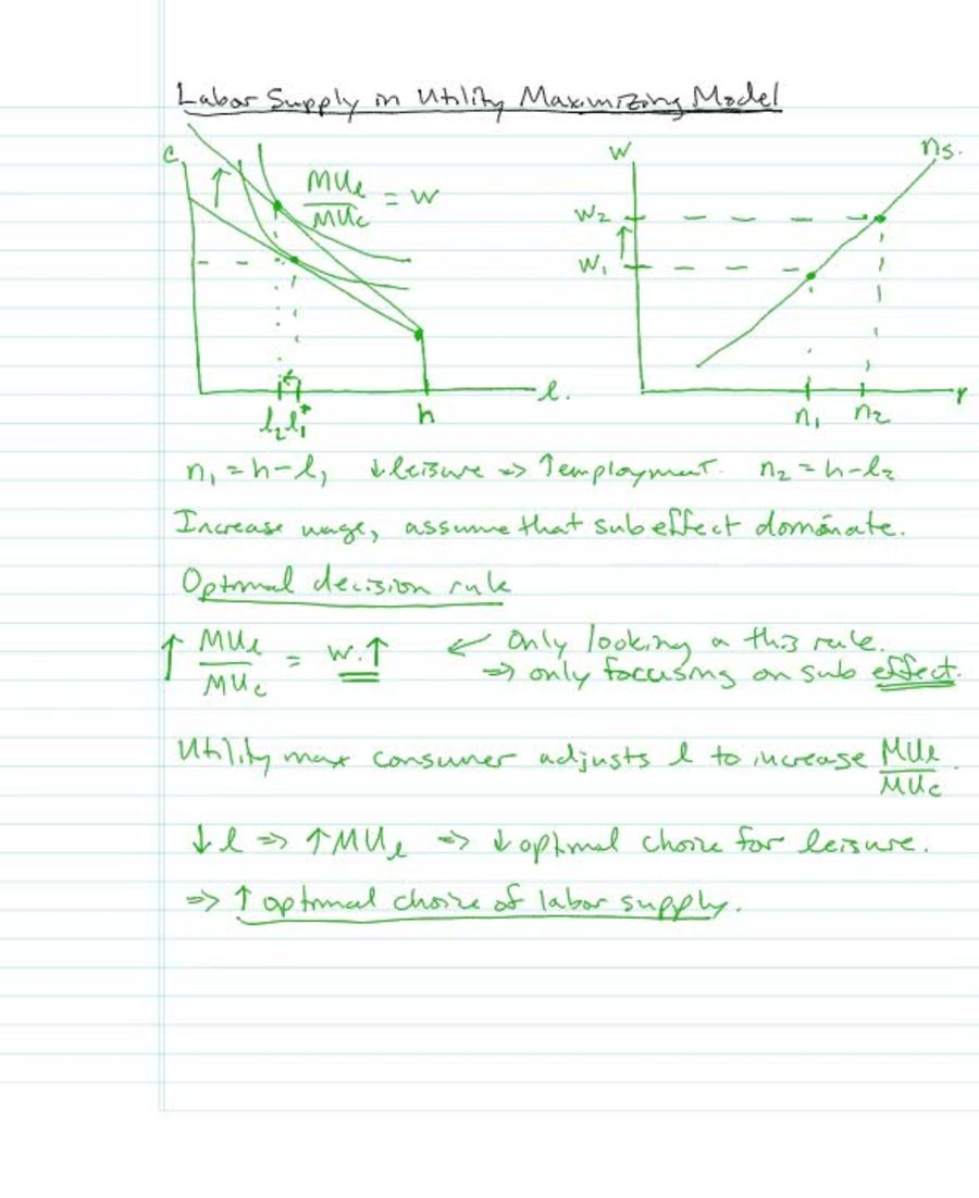 Dynamic Model 4 - Labor Supply