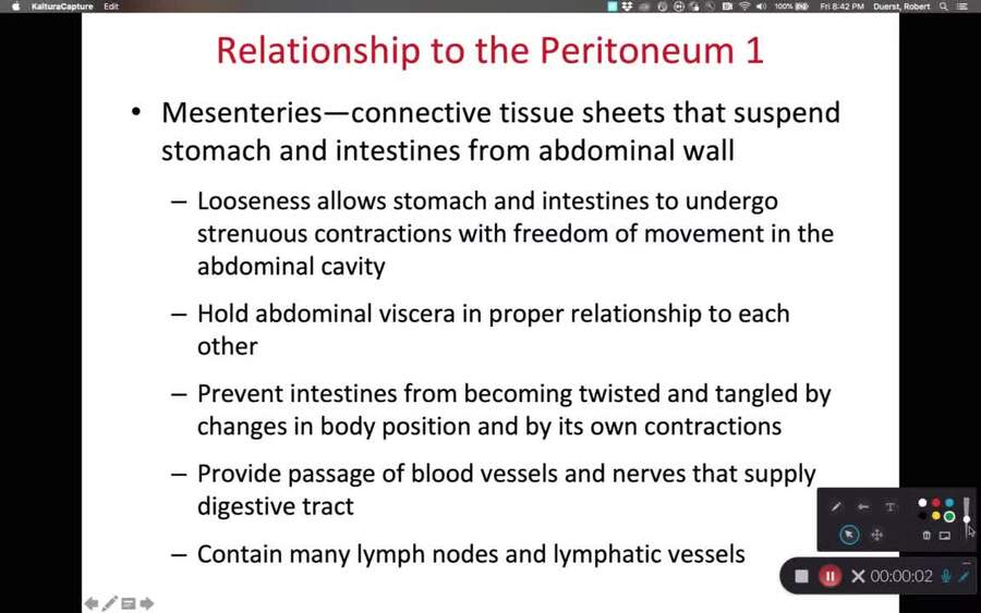 BIOL 314 Peritoneum (Ch 25 Part 2)