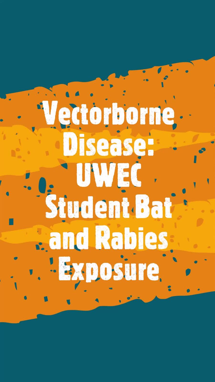 Bats and Rabies Risk