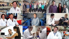 Go to Virginia-Maryland College of Veterinary Medicine: 2019 in Review with duration: 1 minute, 30 seconds