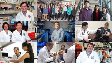 Thumbnail for Virginia-Maryland College of Veterinary Medicine: 2019 in Review