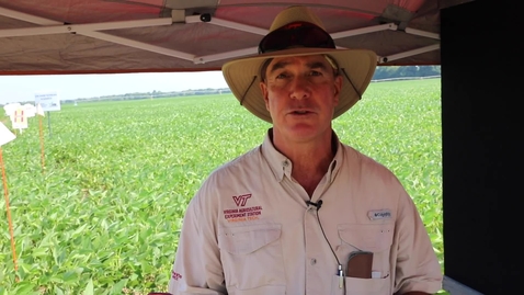 Thumbnail for Virginia Tech and Virginia Cooperative Extension participate in Ag Expo 2022