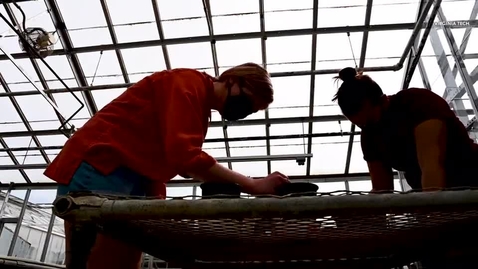 Thumbnail for One Giant Leap For Plant-kind:  VT Soil Judging Team Grows Vegetables In Lunar Soil