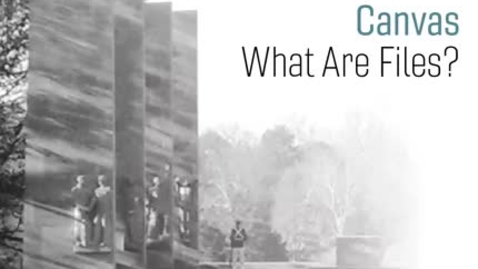 Thumbnail for Canvas: What Are Files