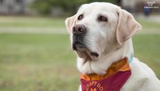 Go to Remembering Moose and a life dedicated to service with duration: 1 minute, 55 seconds