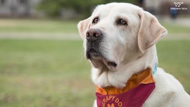 Remembering Moose and a life dedicated to service | Virginia Tech ...