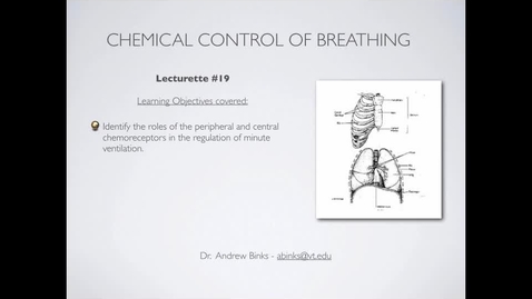 Thumbnail for Control of Breathing: Chemical Control (Ch17)