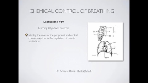 Thumbnail for entry Control of Breathing: Chemical Control (Ch17)