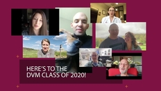 Go to Here's to the DVM Class of 2020! with duration: 3 minutes, 5 seconds
