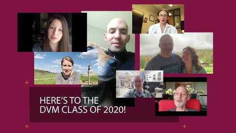 Thumbnail for Here's to the DVM Class of 2020!