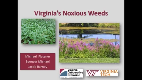 Thumbnail for entry Virginia's Noxious Weeds