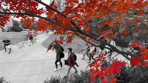 Thumbnail for Autumn colors on Virginia Tech's campus