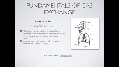 Thumbnail for entry Diffusion and Perfusion limitations in Gas Exchange (Ch8)