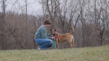 Students develop program to help shelter dogs | Virginia Tech News ...