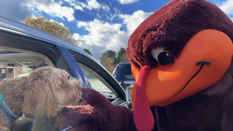Thumbnail for Virginia Tech welcomes new Hokies on campus to pick up early admissions decisions and meet the Hokie Bird