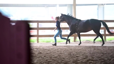 Thumbnail for Testing The Efficacy of Equine Therapy Treatments