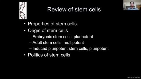 Thumbnail for Human Stem Cell and Gene Therapy March 23, 2023