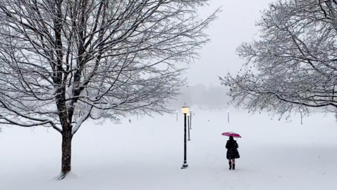 Thumbnail for entry Blacksburg campus becomes a winter wonderland