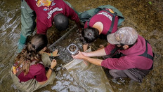 Go to An amazing ecosystem engineer in Southwest Virginia with duration: 2 minutes, 14 seconds