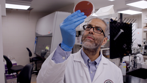 Thumbnail for Seleem Lab partners with private enterprise to win new NIH grant