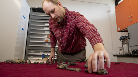 Thumbnail for Virginia Tech paleontologist discovers new, miniature relative of Tyrannosaurus rex