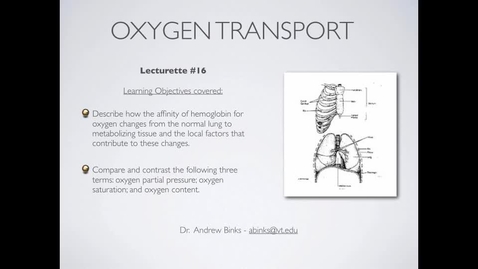Thumbnail for entry Gas transport: Oxygen transport (Ch 16)