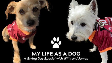 Thumbnail for entry My life as a dog: A Giving Day special with Willy and James