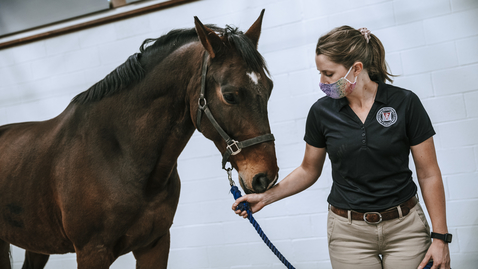 Thumbnail for entry Equine Medical Center continues to provide premier, full-service equine care during COVID-19